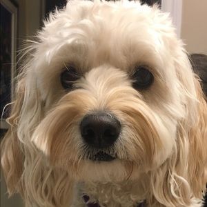 Meet your Posher, Jillian